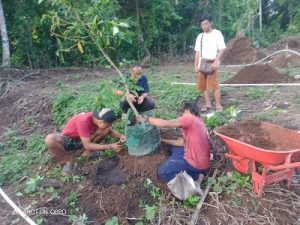 Penanaman bibit kebun binaan